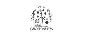 Calderona Viva